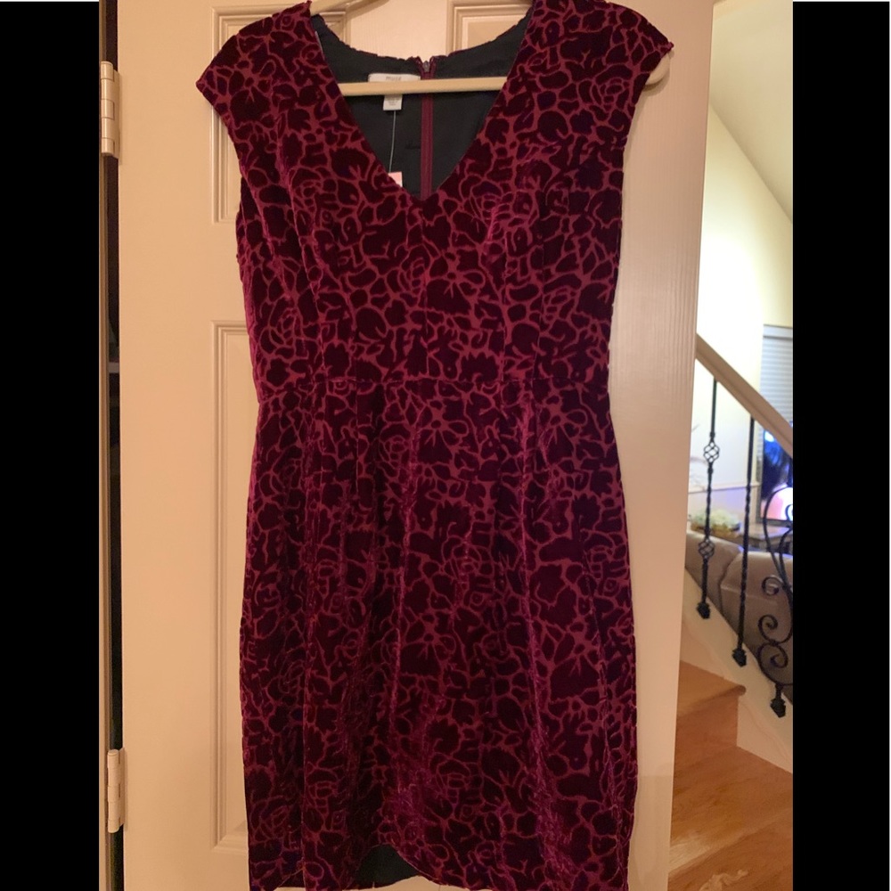 Velvet Dress